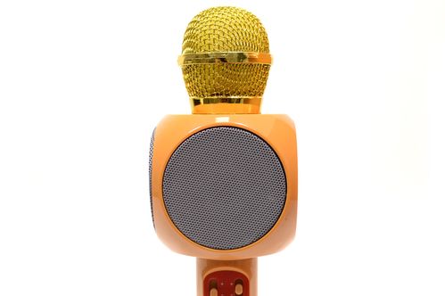 Микрофон Bluetooth WS 1816 2 в 1 (беспроводной многофункциональный микрофон)(золото)