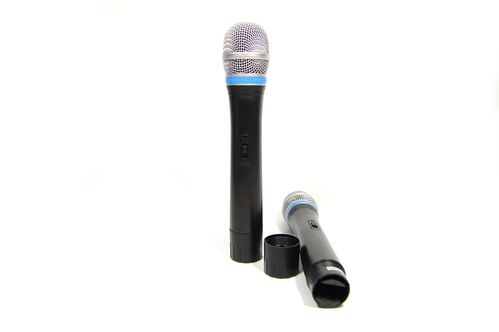 Радіосистема Sennheiser DM EW 100 з 2 мікрофонами