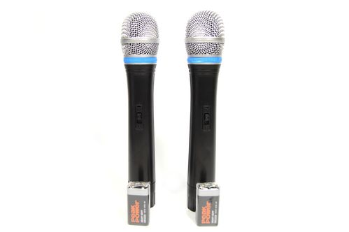 Радіосистема Sennheiser DM EW 100 з 2 мікрофонами