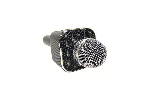 Мікрофон-караоке Bluetooth WSTER WS-1688 (чорний) Мікрофон-караоке Вестер 1688